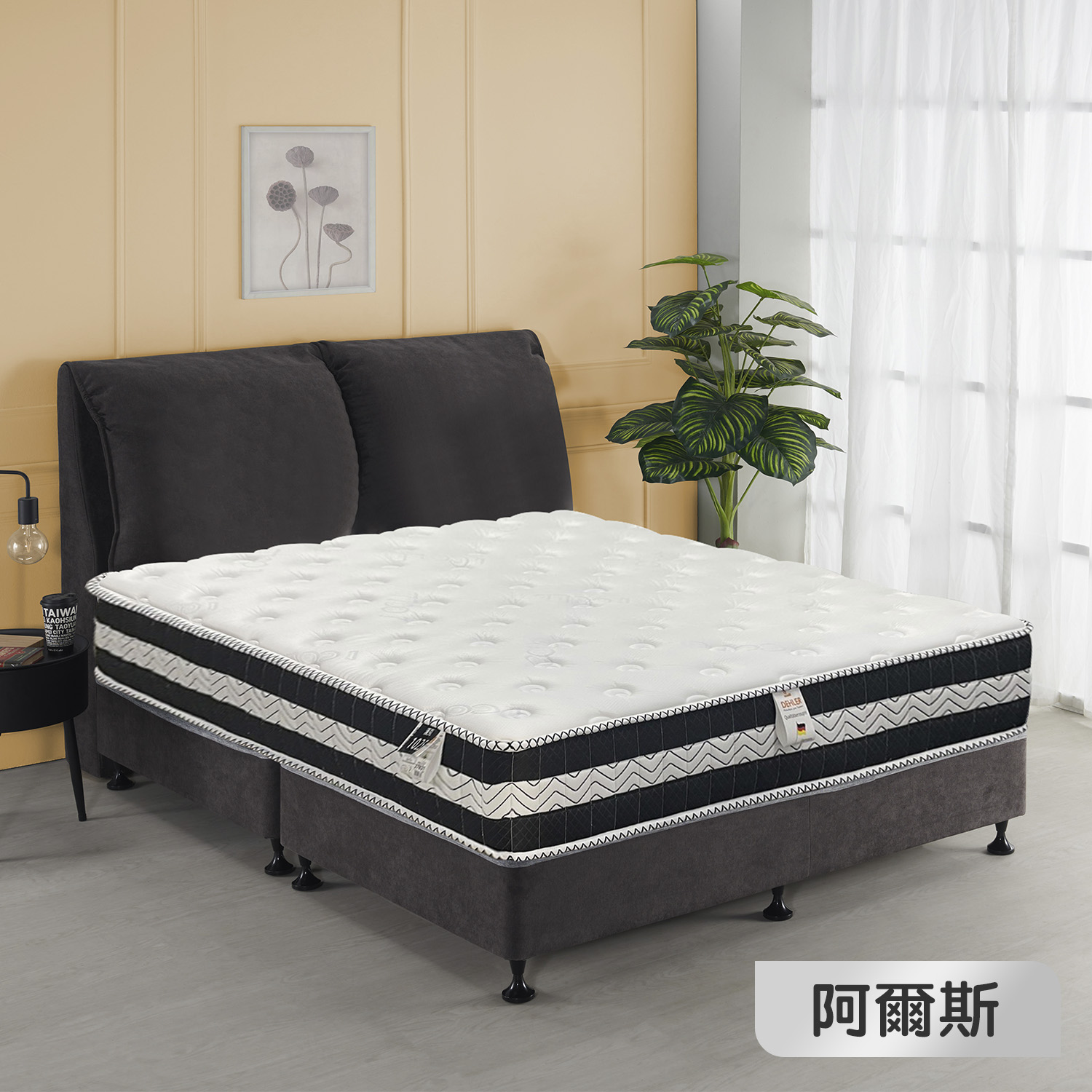 阿爾斯<br>軟○○○●○○○硬