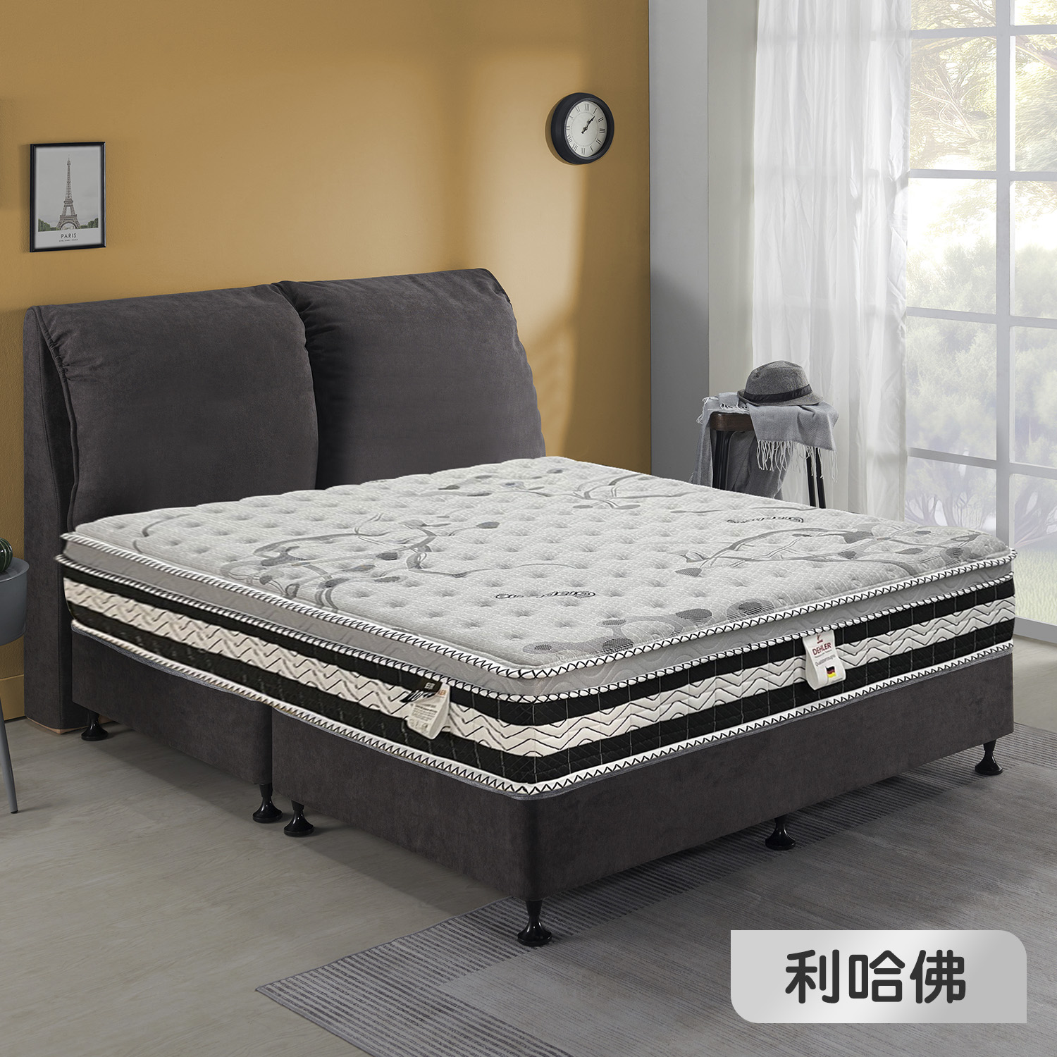 利哈佛<br>軟○●○○○○○硬