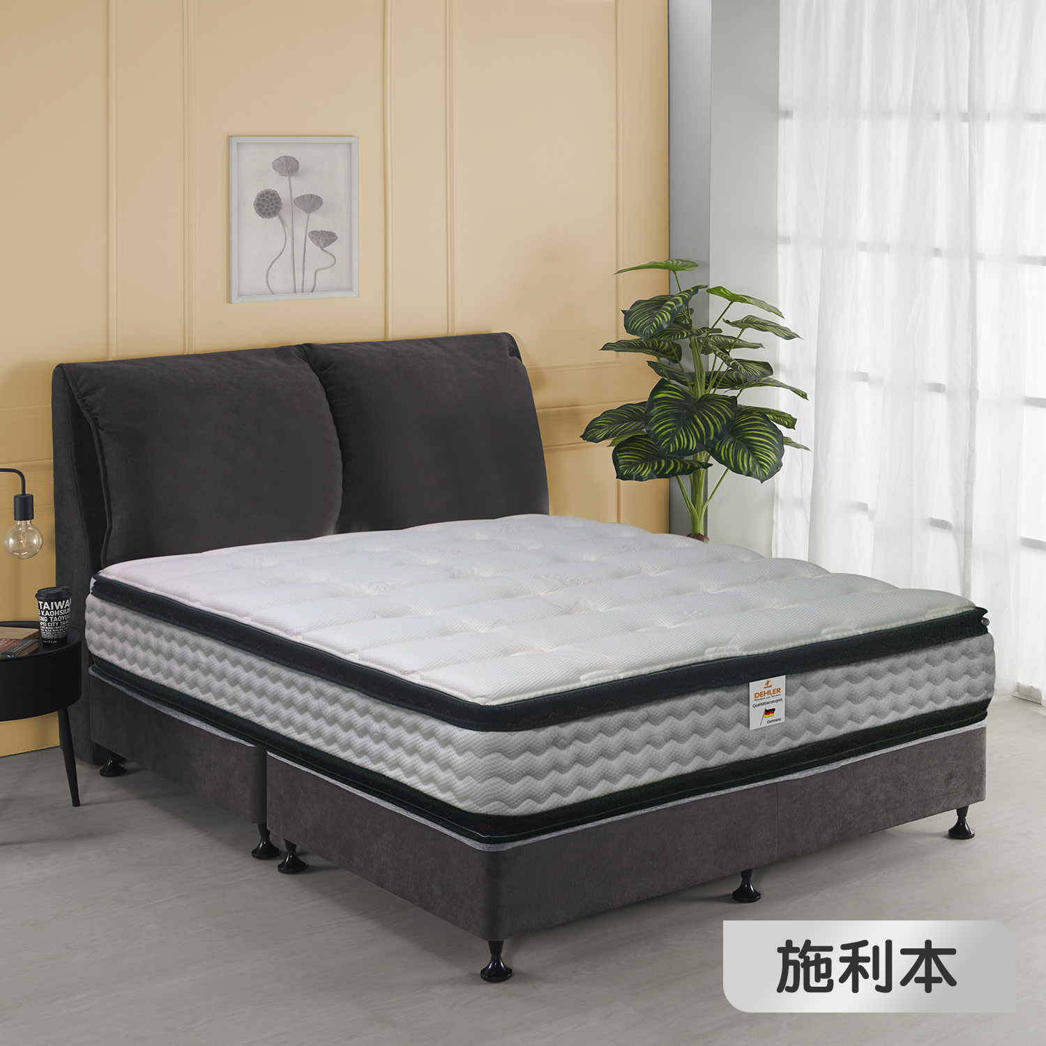 施利本<br>軟●○○○○○○硬